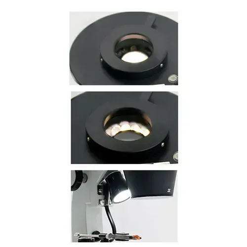 Binocular Stereo Microscope